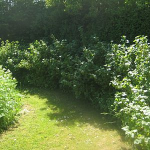Økologiens Have - Suburban garden