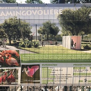 Flamingo aviary building site