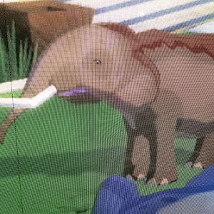 World of Zoo - Elephant Park - Sabu