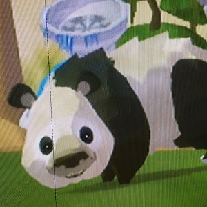 World of Zoo - Panda Sanctuary - Thai Thai