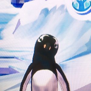 World of Zoo - Penguin Pool - Hector