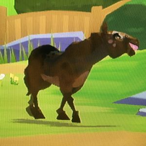 World of Zoo - Horse Meadows - Chad