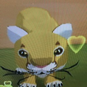 World of Zoo - Big Cat Savanna - Theodore