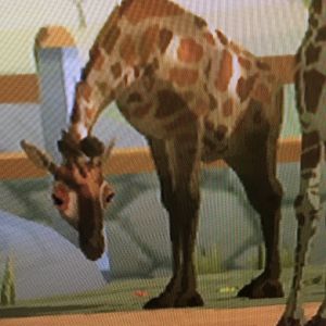 World of Zoo - Giraffe Plains - Maximus