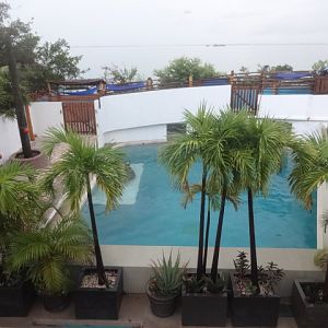 Sea lion exhibit viewing - Acuario interactivo de Cancún