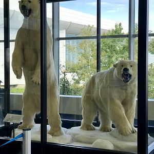 Welcome to Anchorage - Anchorage Int’l Airport.