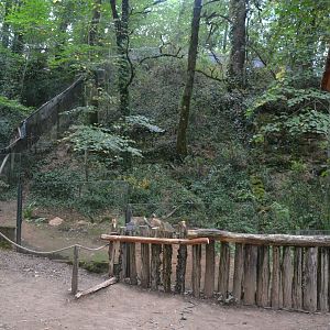 Mixed exhibit for European pond turtle and European Mink