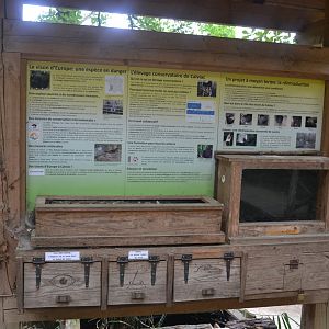 Interpretation area for European Mink