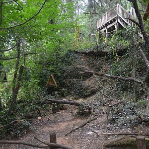 Barn owl walkthrough exhibition