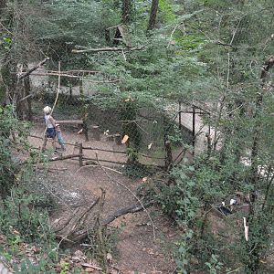 Barn owl walkthrough exhibition