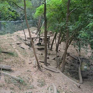 Wolverine exhibition