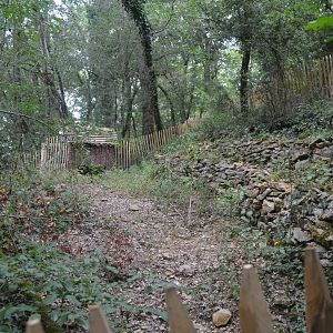 Hermann's Tortoise enclosure