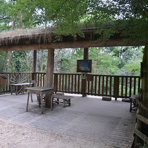 Wolverine exhibition viewing area