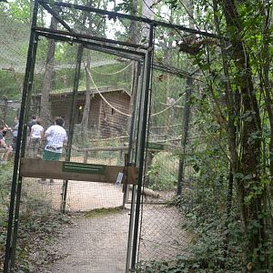 Entry to the  lemurs enclosure