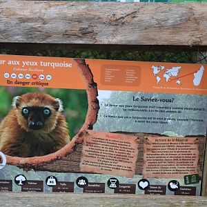 Example of educative board with information about the specie and the in situ work done