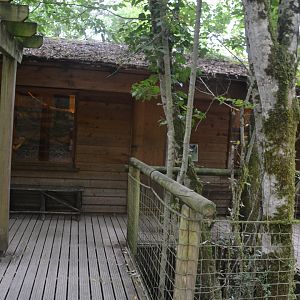 Viewing to fossa shelter area