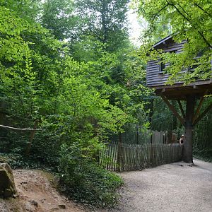 Golden lion tamarin & emperor tamarin exhibition