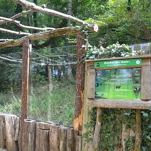 Southern Pudu & Squirrel monkey enclosure