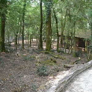 Parma wallaby enclosure