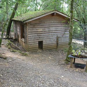 Parma wallaby enclosure
