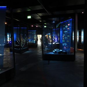 Ocean exposition