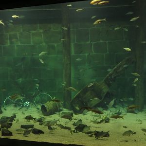 Stralsund harbour tank