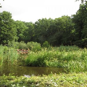 Wetland area