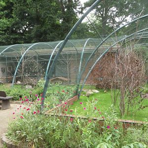 Bird aviaries