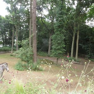 Part of main Rhino enclosure