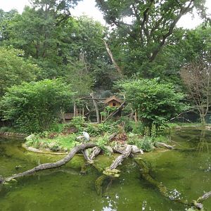 European Otter and Red Panda enclosure