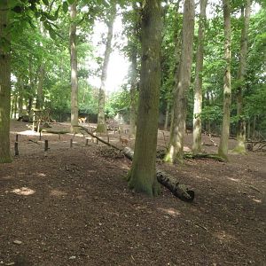 Pere David Deer, Fallow Deer & Mufflon enclosure