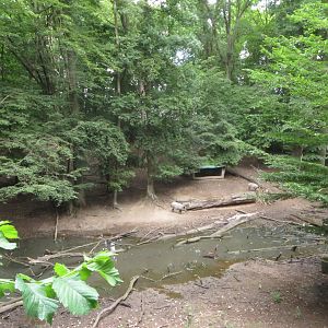 Wild Boar and Roe Deer enclosure