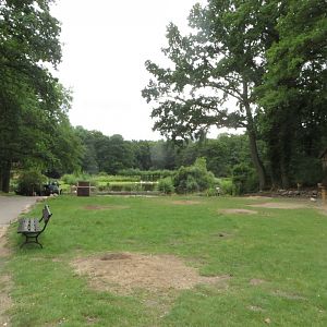 Free-ranging Prairie Dog colony