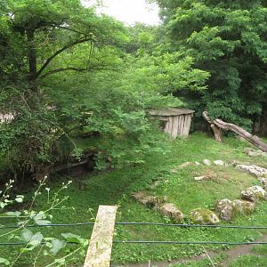 Striped Hyena enclosure