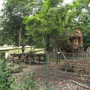 Peccary, Capuchin & Coati enclosure