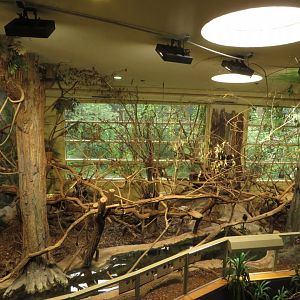 S-American (Humboldt) house