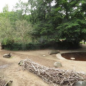 S-American mixed species exhibit