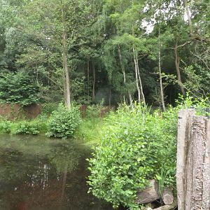 small part of Cassowary enclosure