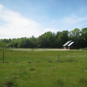 Økologiens Have - Ponies and donkeys