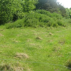 Økologiens Have - Goat exhibit
