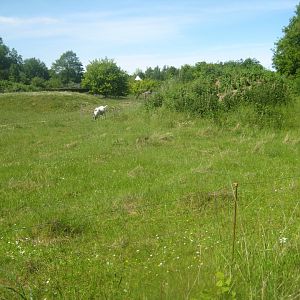 Økologiens Have - Goat exhibit