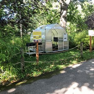 Boise Foothills Restoration Project