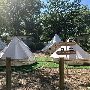 Gorgongosa Exhibit Overnight Campsite