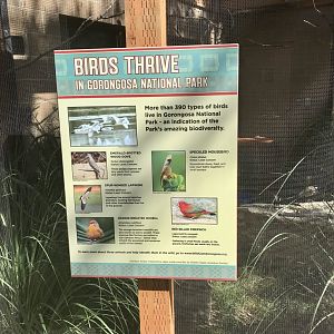 Gorongosa Exhibit - Aviary Sign