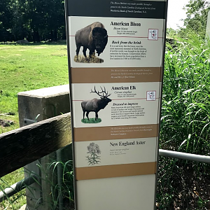 Bison & Elk Sign at the North Carolina Zoo