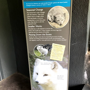Arctic Fox Sign at the North Carolina Zoo