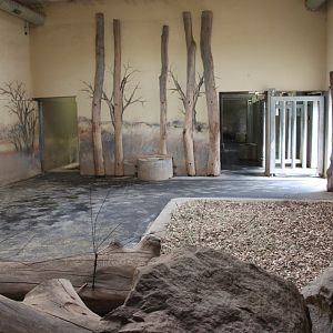 Black rhino on-show stable