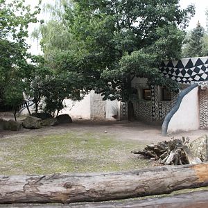 Red river hog + Blesbok male exhibit