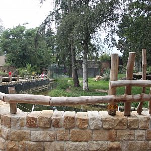 Cheetah exhibit with reworked fencing