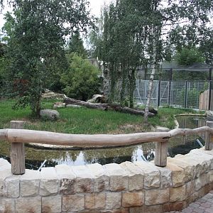 Hyena exhibit with reworked fencing
